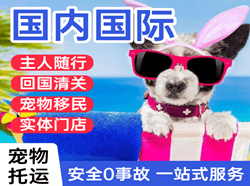 张家界荷花机场托运国际宠物托运 【国